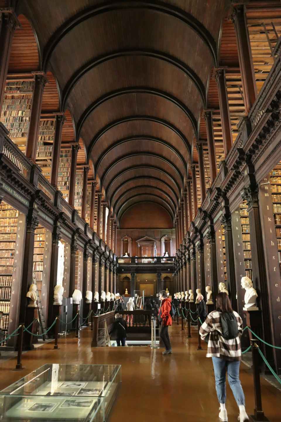 Library with books and busts