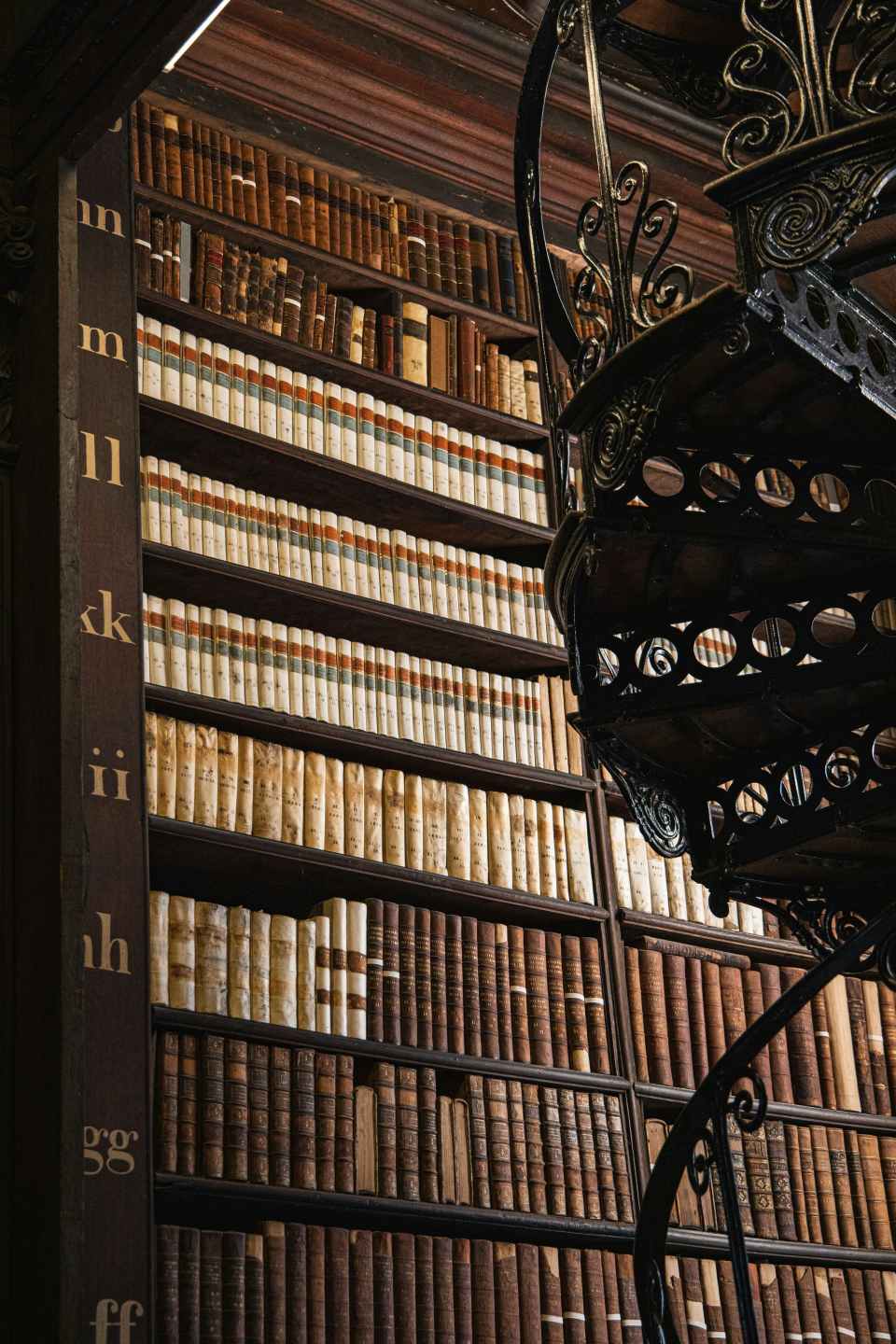 Library with books and busts