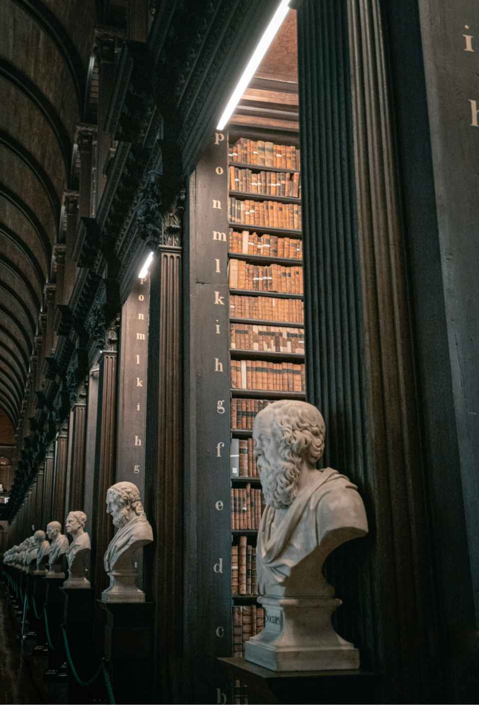 Library with marble busts